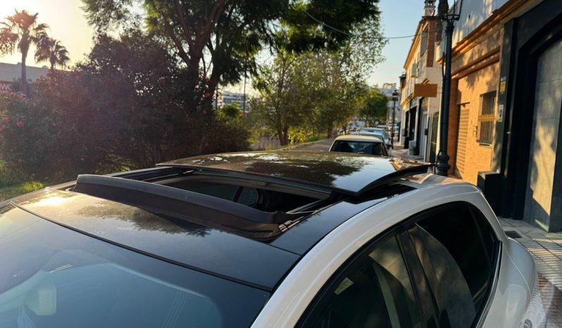 RENAULT MEGANE lleno