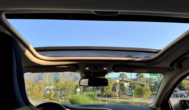 RENAULT MEGANE lleno